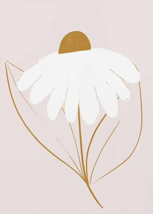 White Daisy | Poster