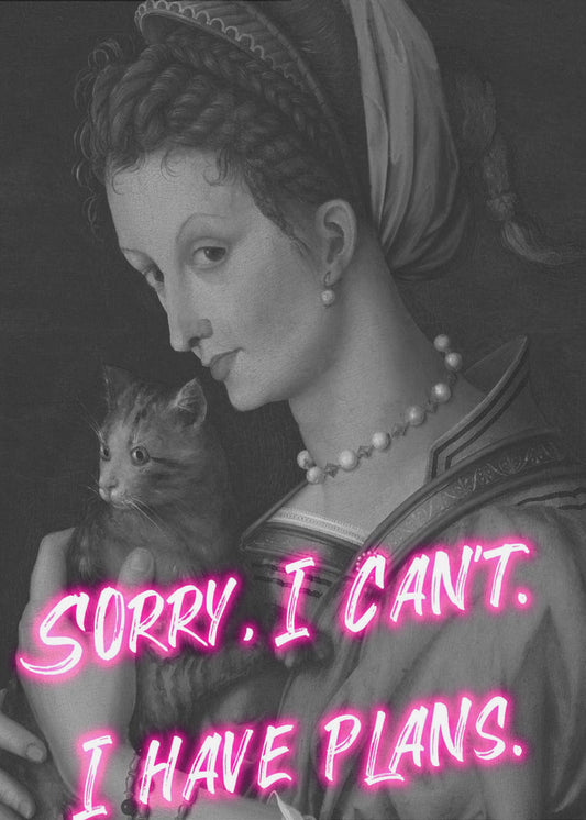 Catlady Verhältnis 2x3 | Poster