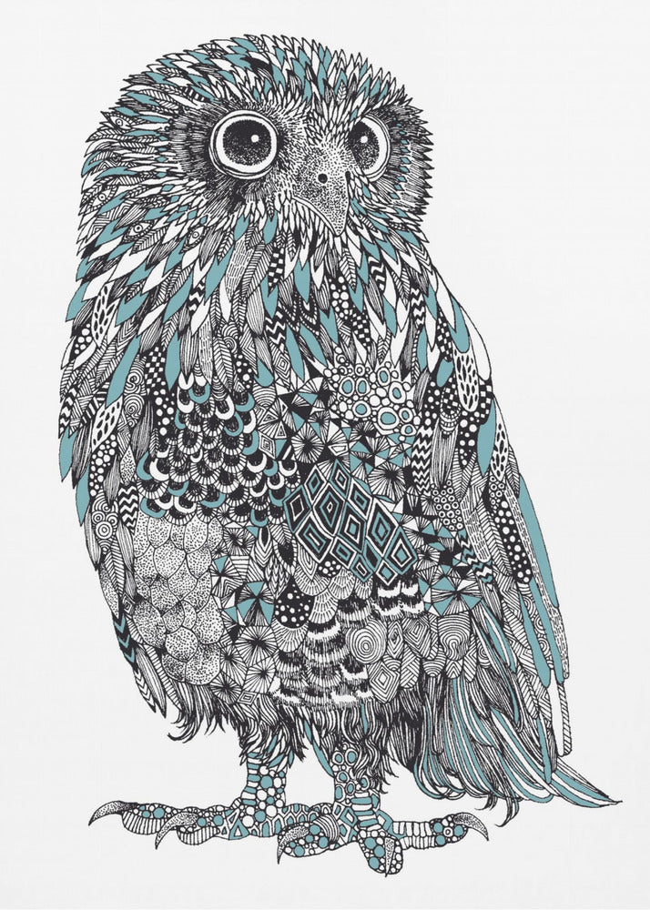 Baby Owl | Poster