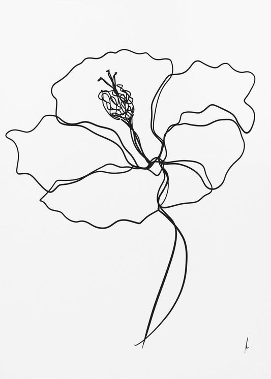 Line Blossom Essence | Canvas