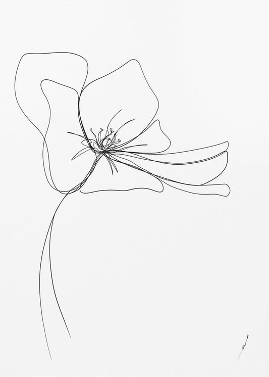 Whimsical Bloom | Canvas