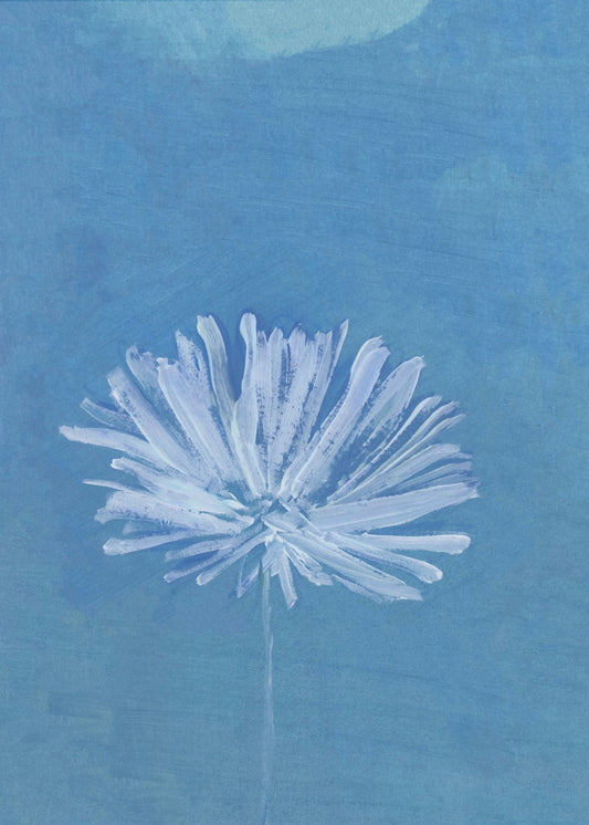 Weiße Blume auf blauem Hintergrund | Poster