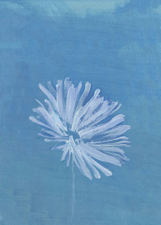 Weiße Blume auf blauem Hintergrund | Poster