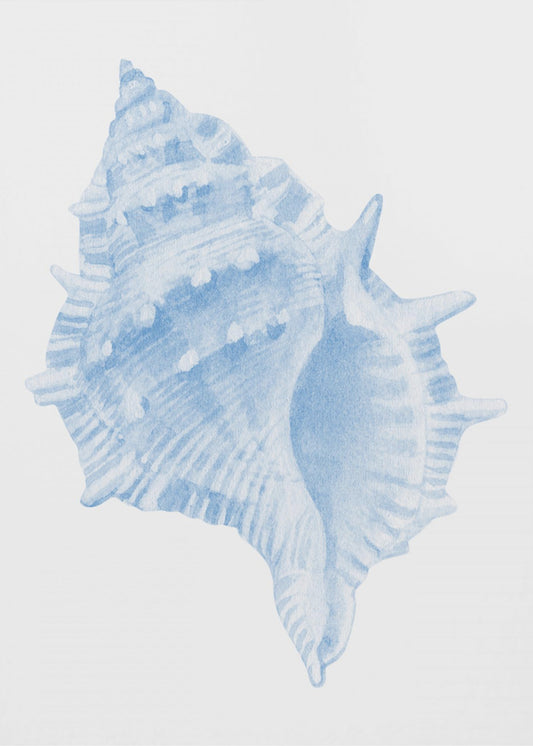 Eine blaue Muschel | Leinwand