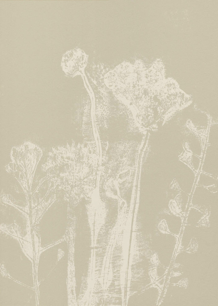 Abstrakte Blumen. Weiße Wiesenpflanzen und Blumen auf neutralem Beige. | Leinwand