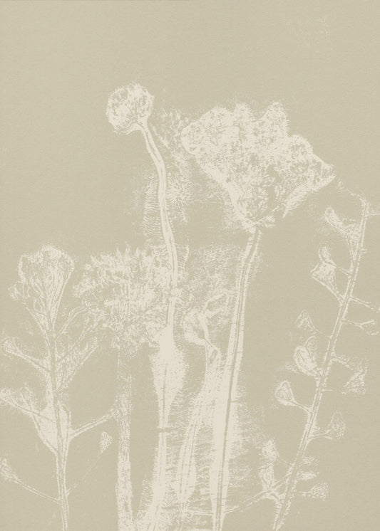 Abstrakte Blumen. Weiße Wiesenpflanzen und Blumen auf neutralem Beige. | Leinwand