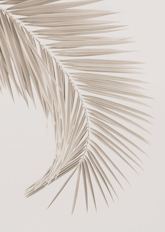 Tan Leaf | Canvas