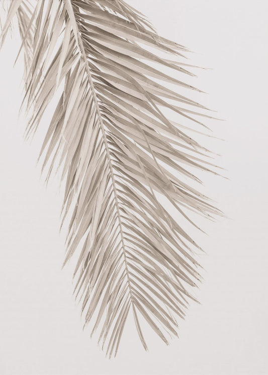 Tan Leaf 2 | Canvas