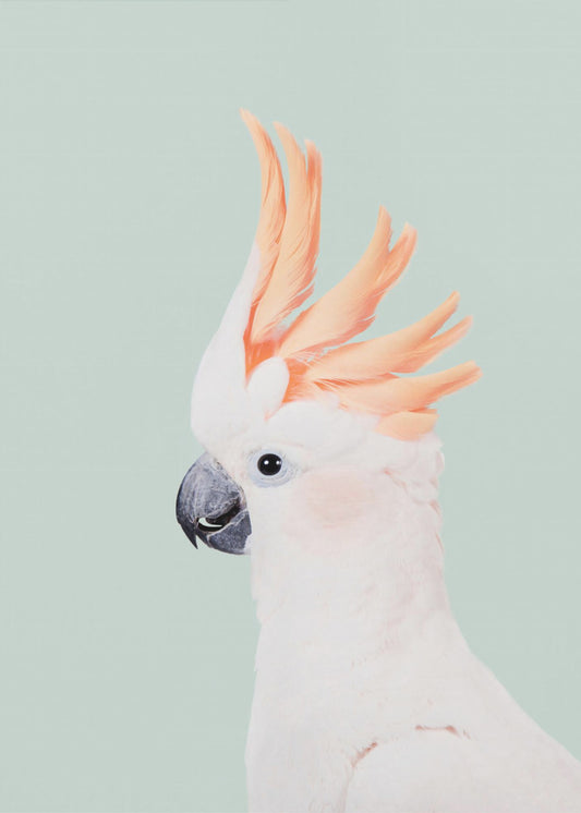 Cockatoo on Mint | Canvas