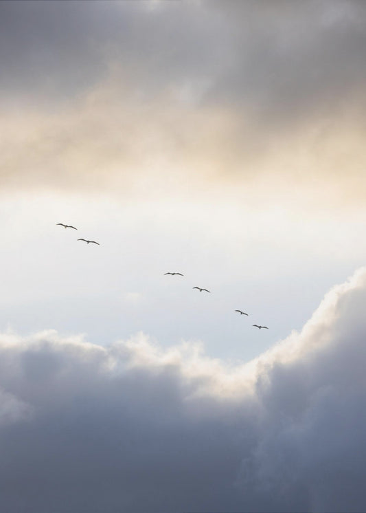 Flying High 10 | Canvas