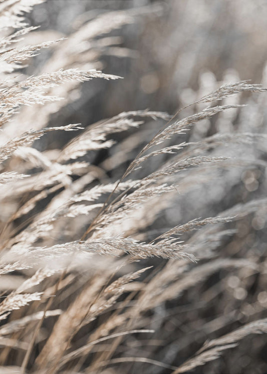 Grass 28 | Poster
