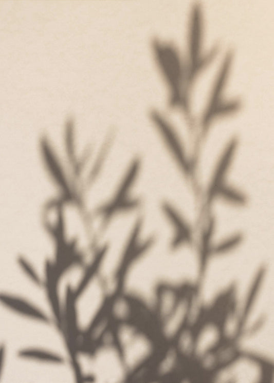Summer Shadows 6 | Poster