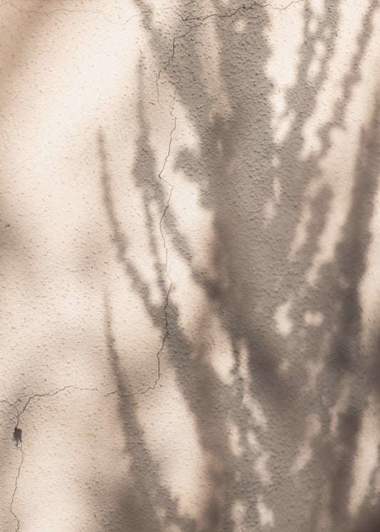 Summer Shadows 7 | Poster