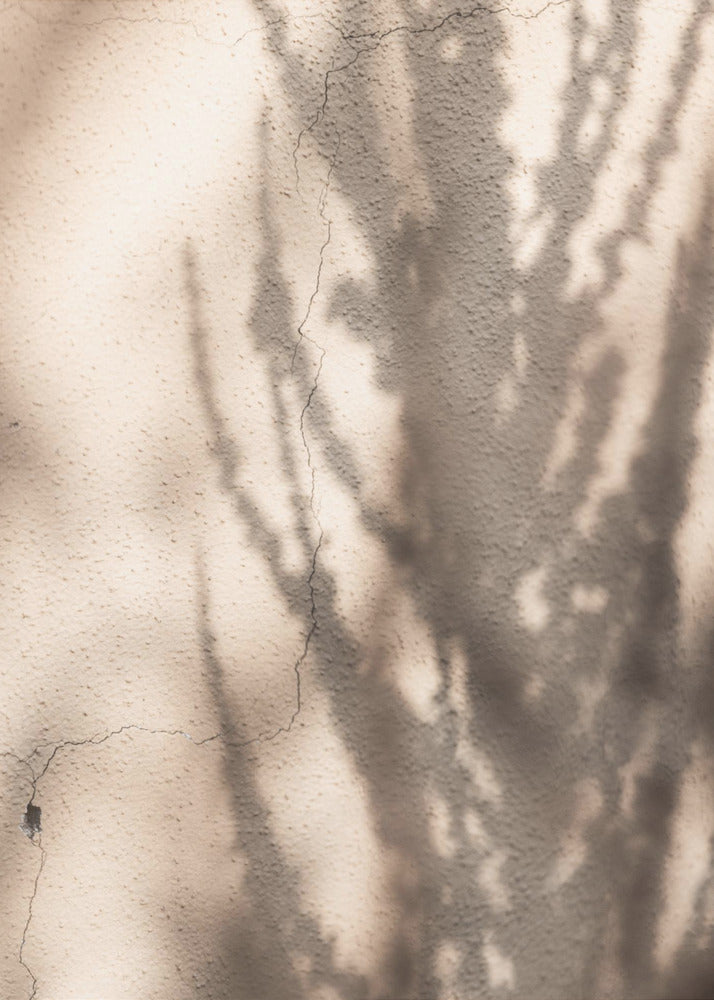 Sommerschatten 7 | Leinwand