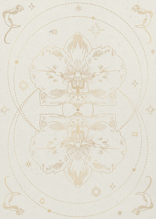 The mystical orchid | Canvas