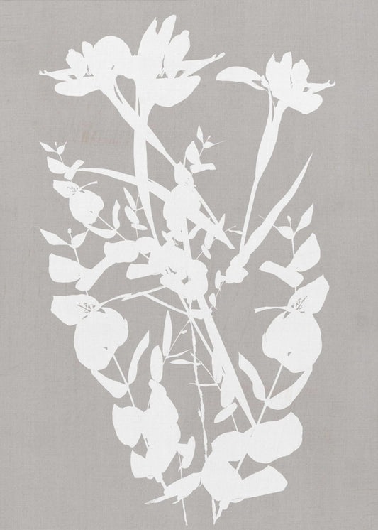 Botanische Illustration 1 | Leinwand
