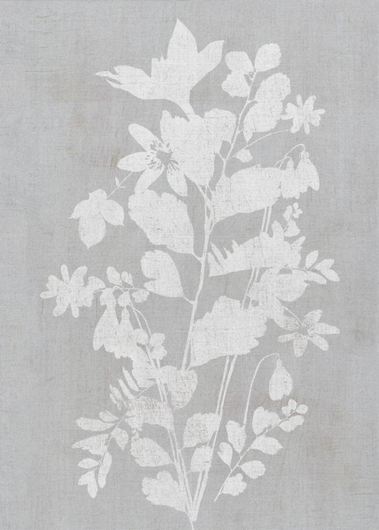 Botanische Illustration 2 | Leinwand