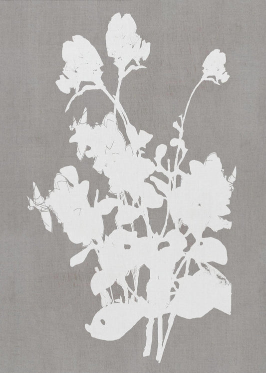 Botanische Illustration 3 | Leinwand