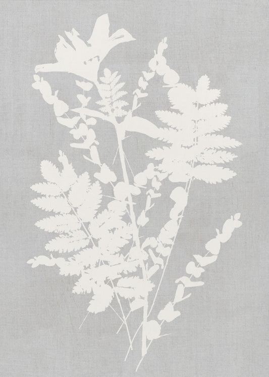 Botanische Illustration 5 | Leinwand