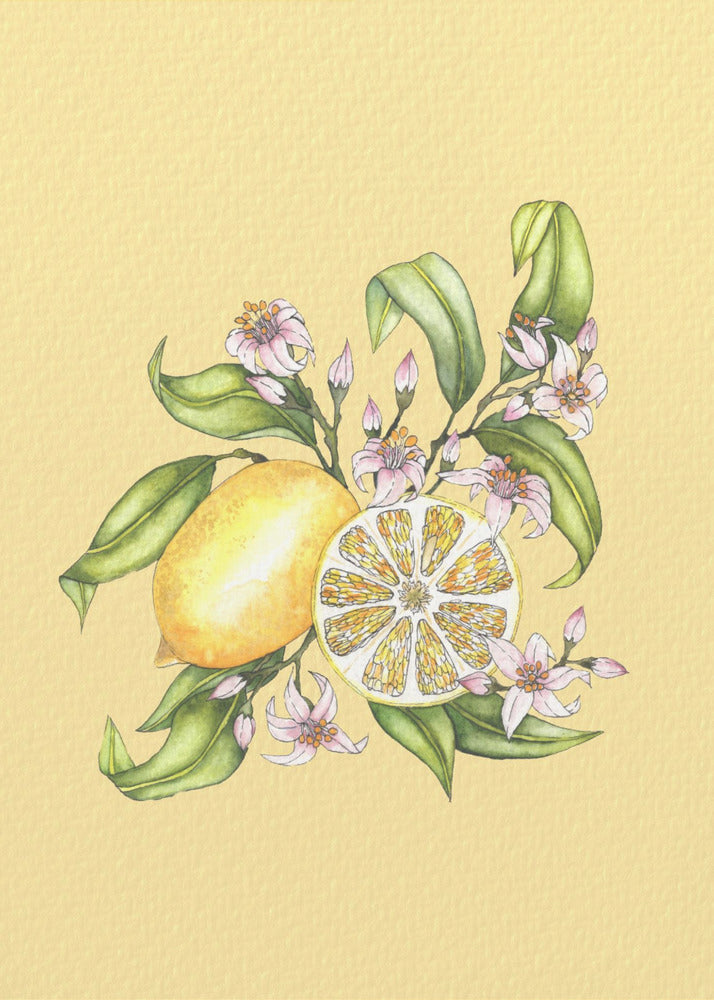 Lemon illustration | Poster