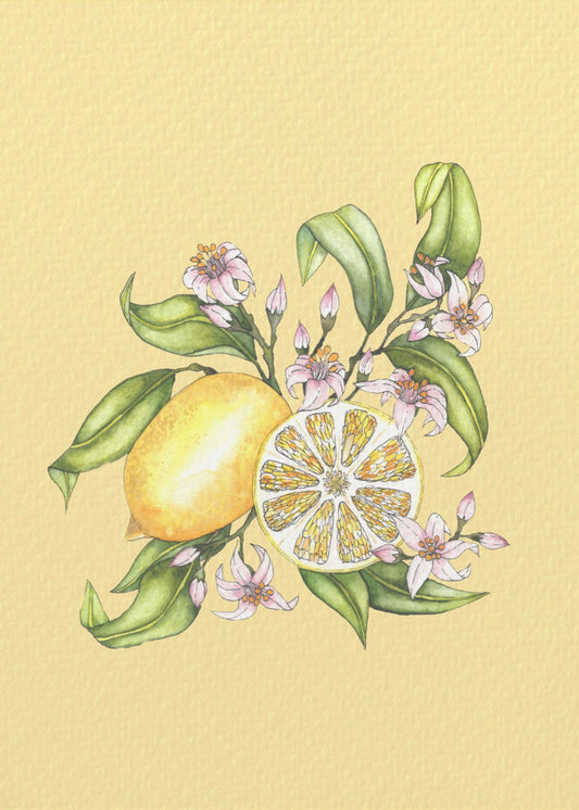 Lemon illustration | Poster