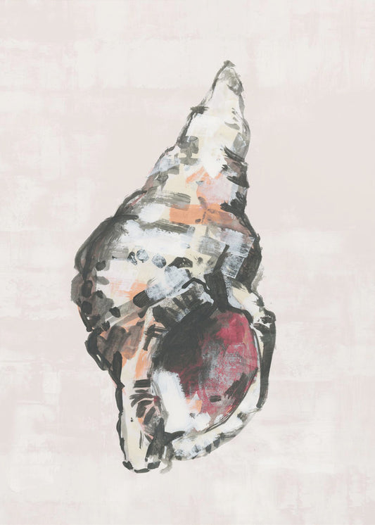 Shell Collector Art Print No 2 | Canvas