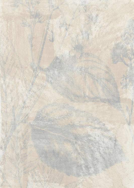 Woodsia 1 | Leinwand