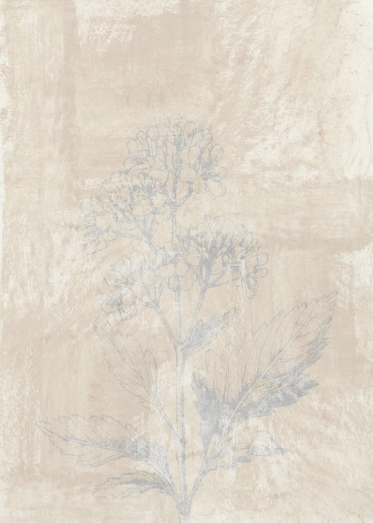 Woodsia 3 | Leinwand