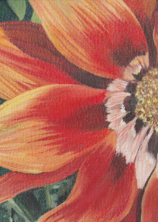 Gazania 1 By Viccy Wanliss | Canvas