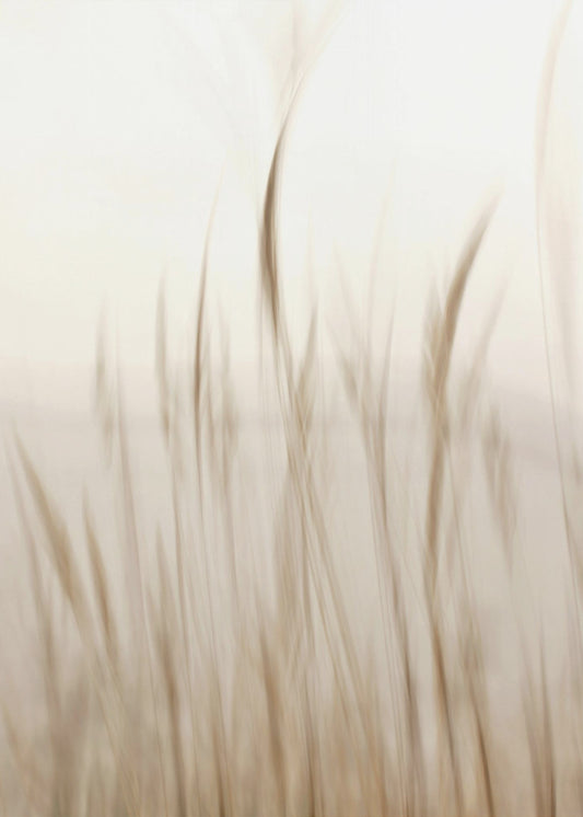 Im Wind | Leinwand