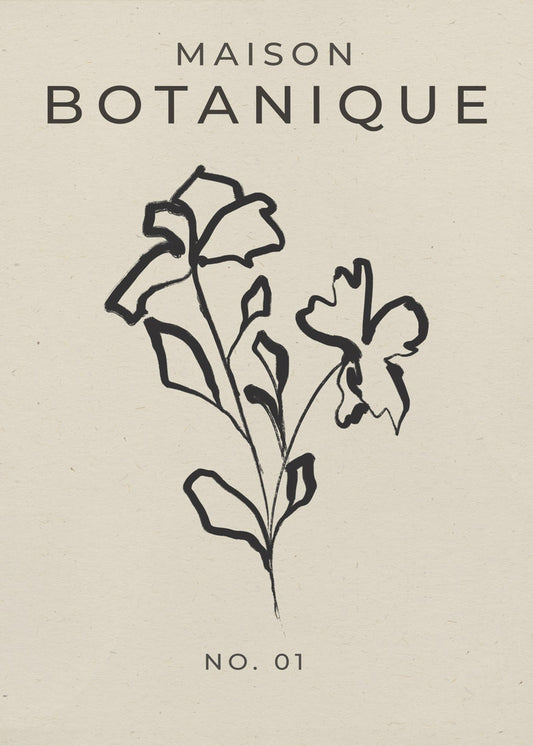 Botanical Sketch | Canvas