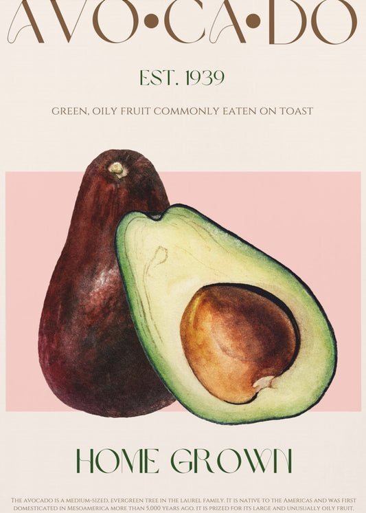 Avocado Essence | Canvas