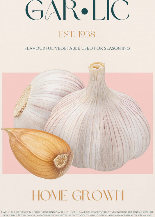 Garlic Essence | Canvas