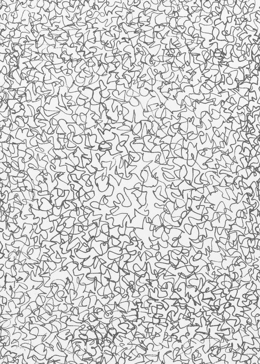 Chaotic Whirlwind | Poster