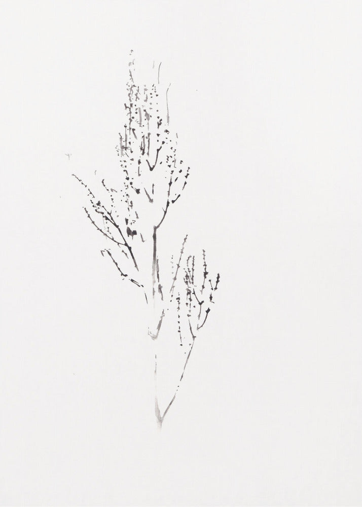 Pflanzen | Leinwand
