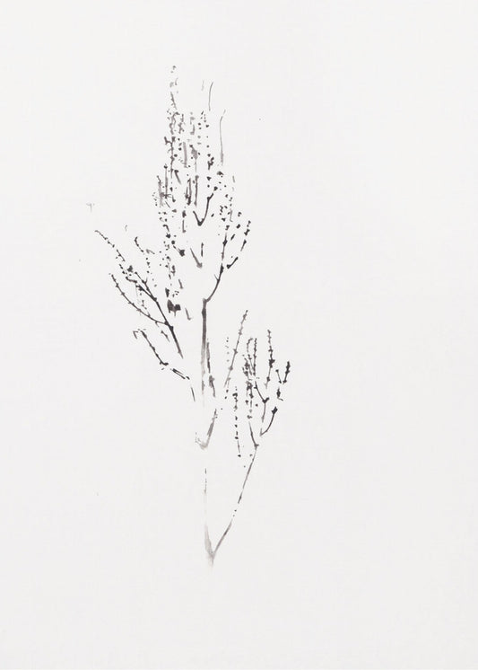 Pflanzen | Leinwand