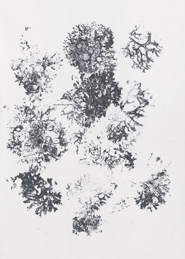 Pflanzen II | Leinwand