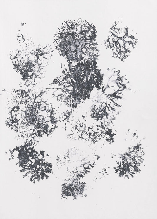 Pflanzen II | Leinwand