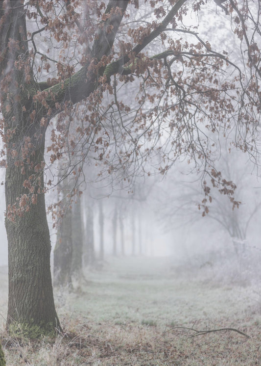Nebliger Wintermorgen 3 | Leinwand