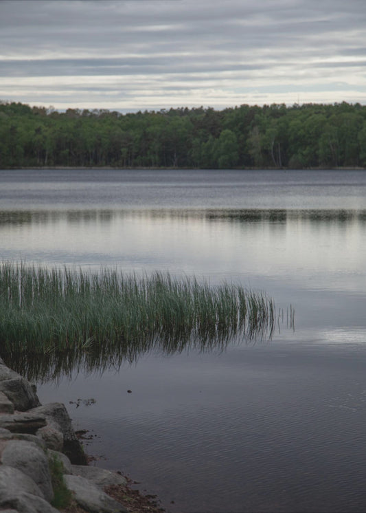 Irgendwo in Schweden 2 | Leinwand