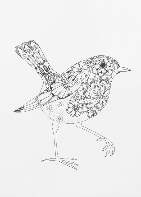 Geblühter Vogel Rotkehlchen | Leinwand