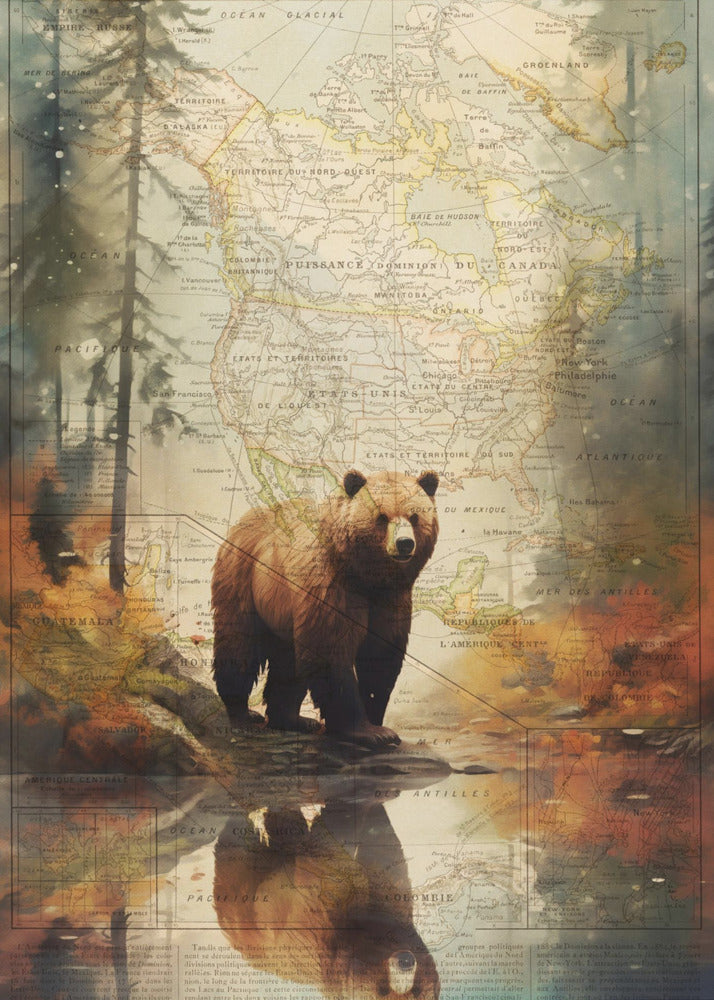 Grizzly 2 | Leinwand