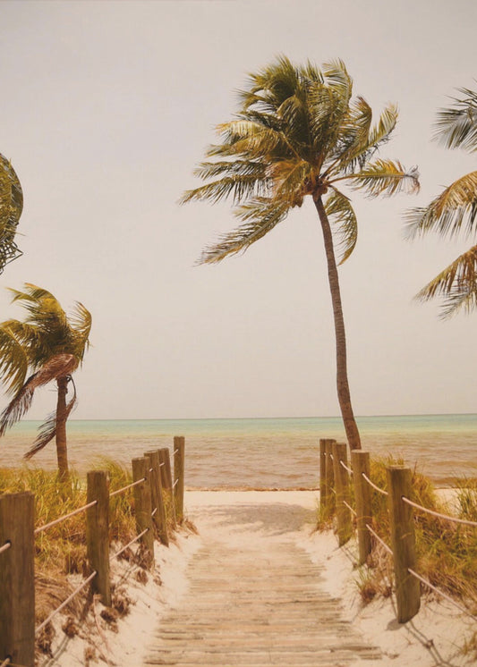 Tropische Paradiesstimmung | Leinwand