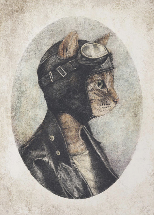 Stylish Cat Wearing A Leather Jacket | Poster