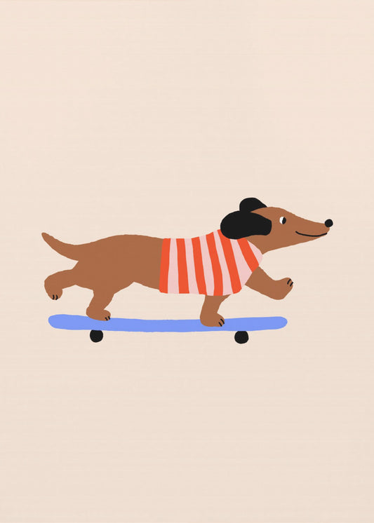 Dackel auf Skateboard | Poster
