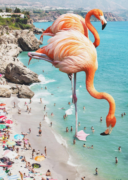 Flamingos am Strand | Poster
