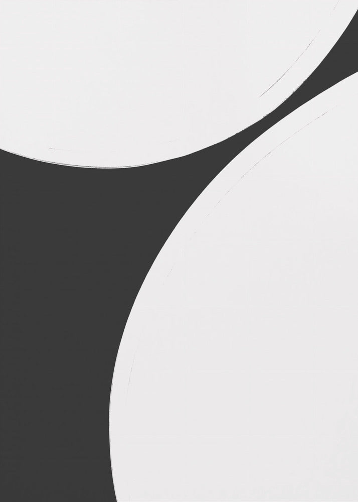 Monochrome Harmonie | Poster
