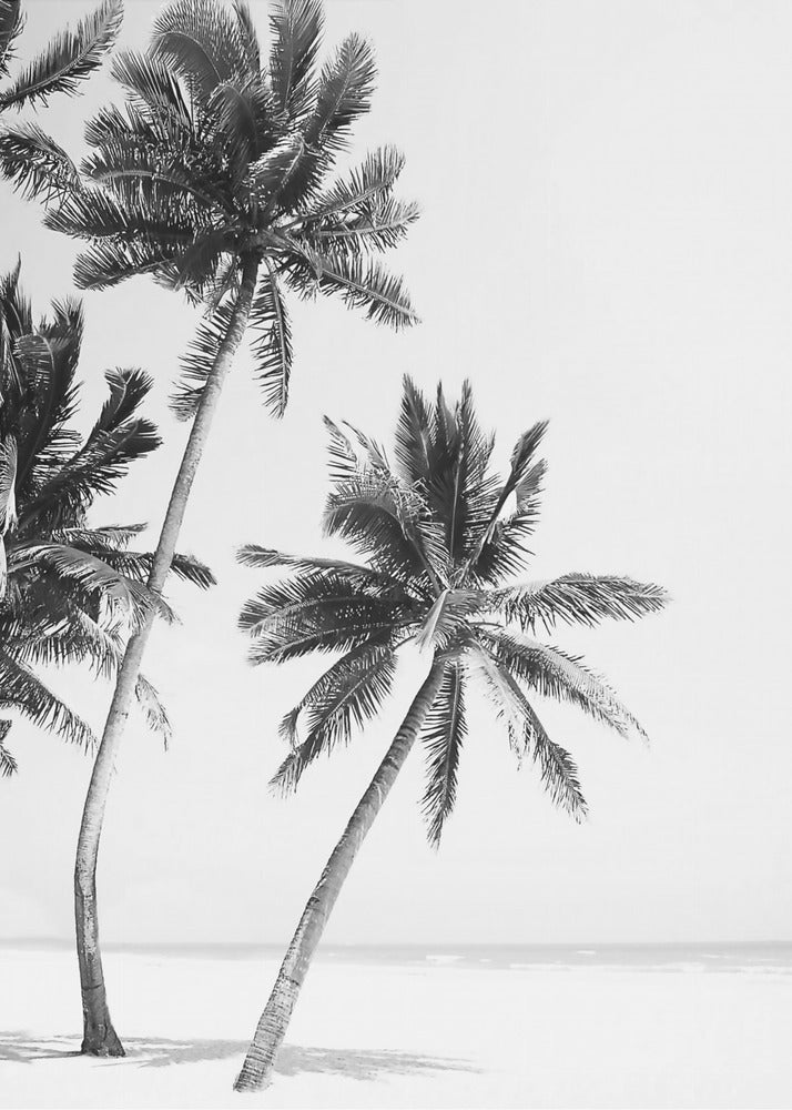 Island | Poster