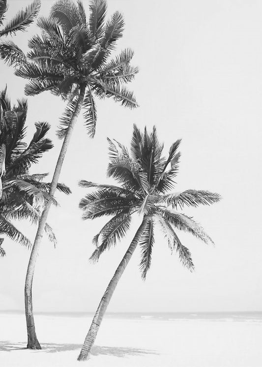 Island | Canvas