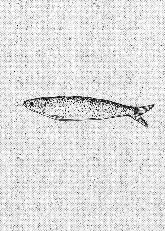 Vintage Fish Illustration | Canvas